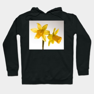 Daffodil Haiku Hoodie